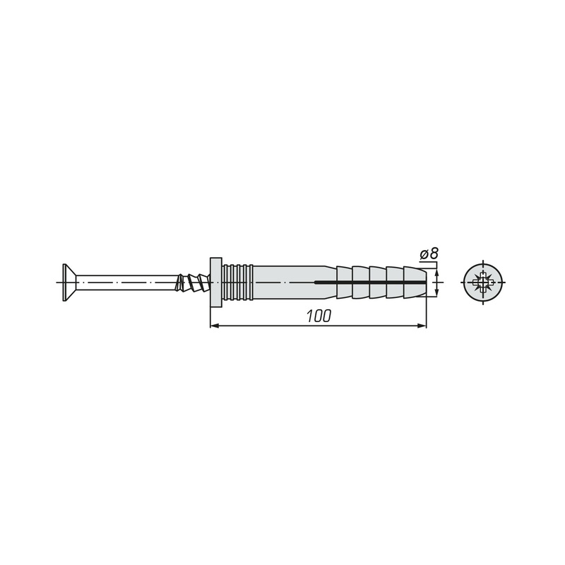 Дюбель-гвоздь SWFS 8L100 (100 шт)