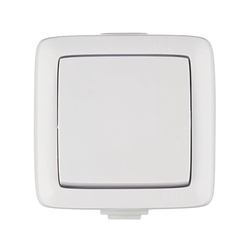 Выключатель о/у Alfa ВА10-211, 1 клавиша, б/инд, IP44, белый